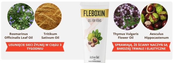 Fleboxin - Pomożemy Ci Zwalczyć Ból Stawów i Reumatyzm! - overview